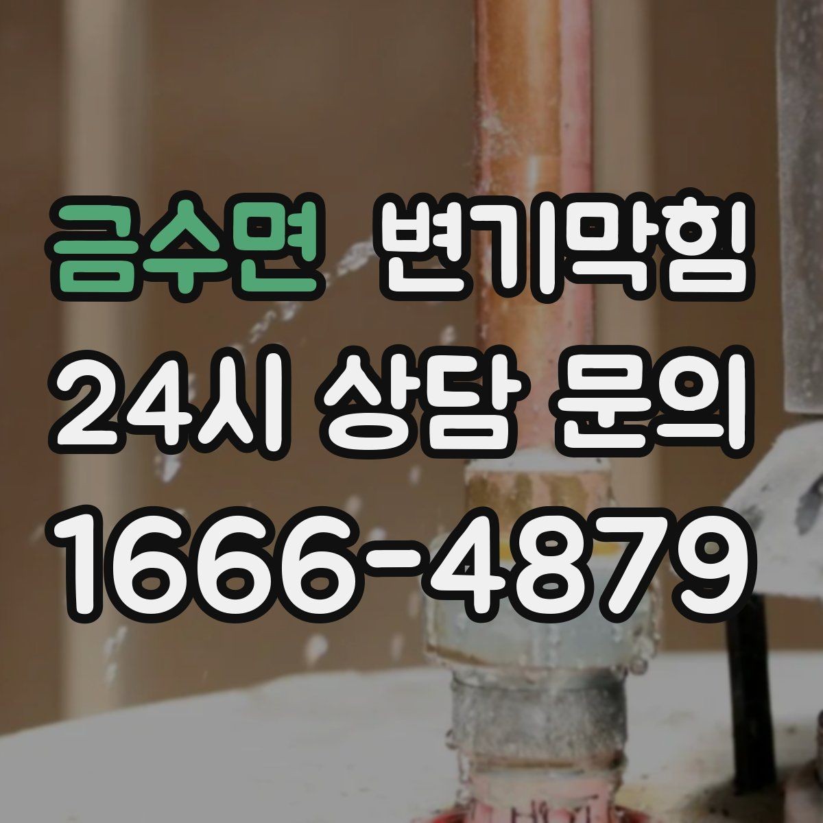 금수면 변기막힘 미용실 화장실막힘 장시간 악취 종료