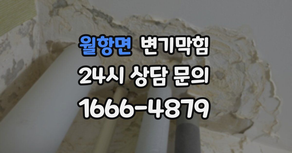 월항면 변기