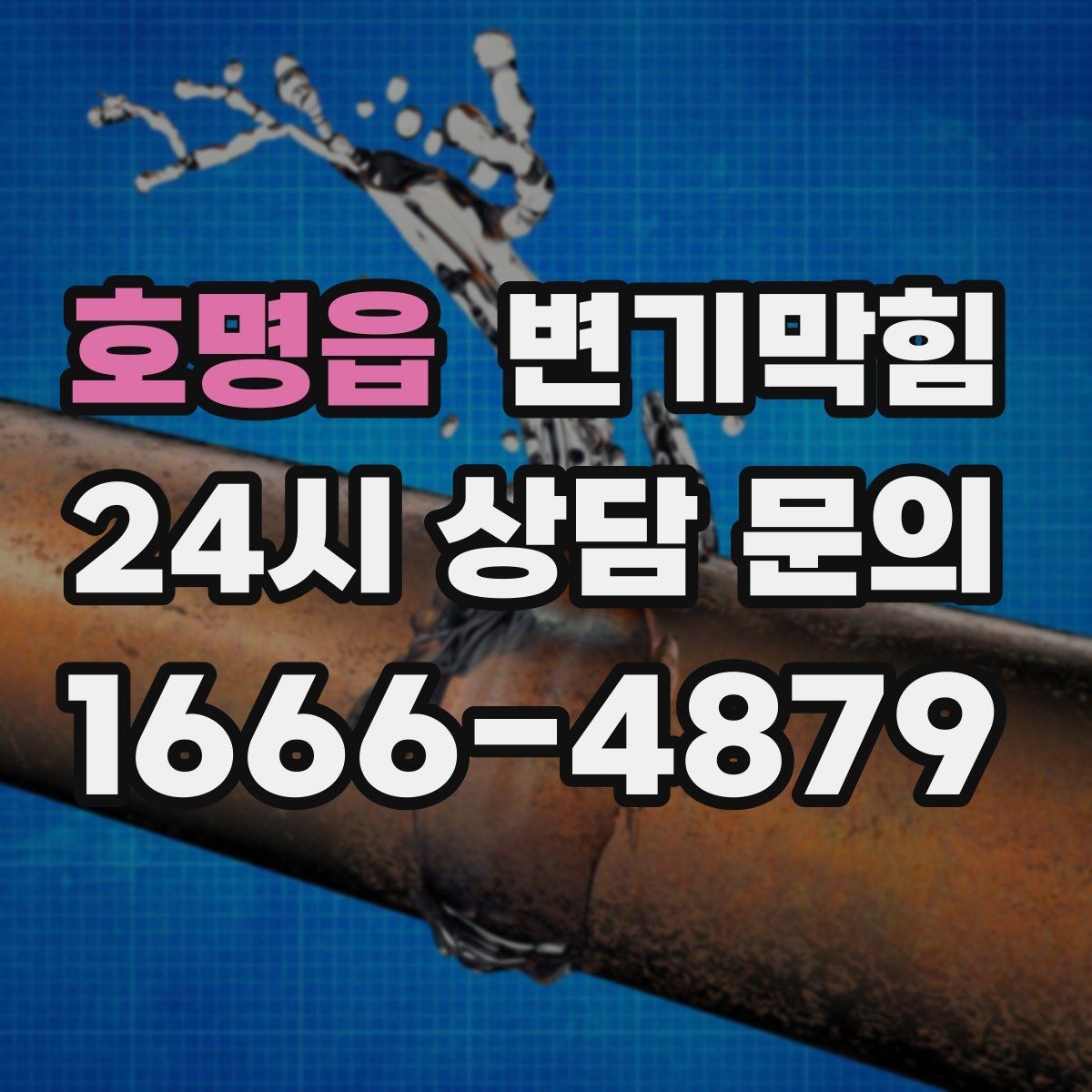 호명읍 변기막힘 뚫어뻥 물 채우기 적정 높이