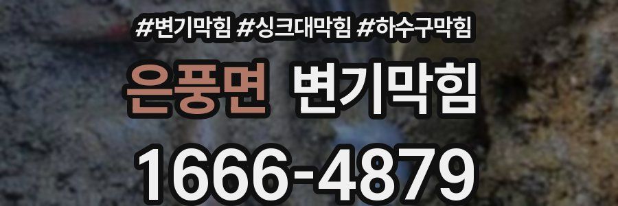 변기막힘