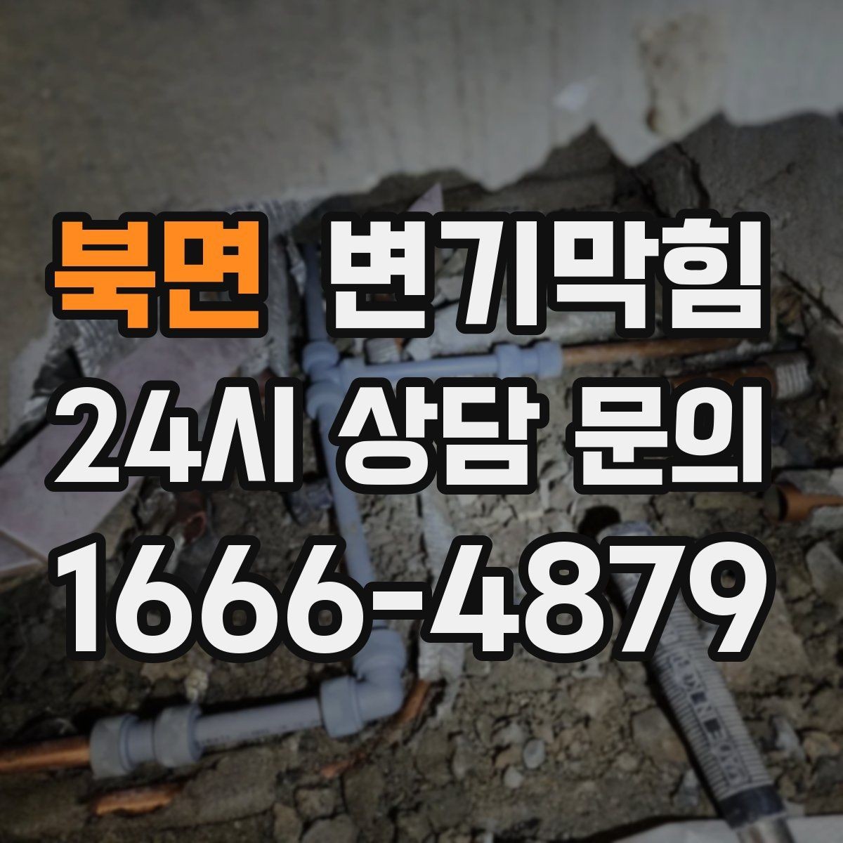 북면 변기막힘 아파트 화장실역류 우수 유입 차단