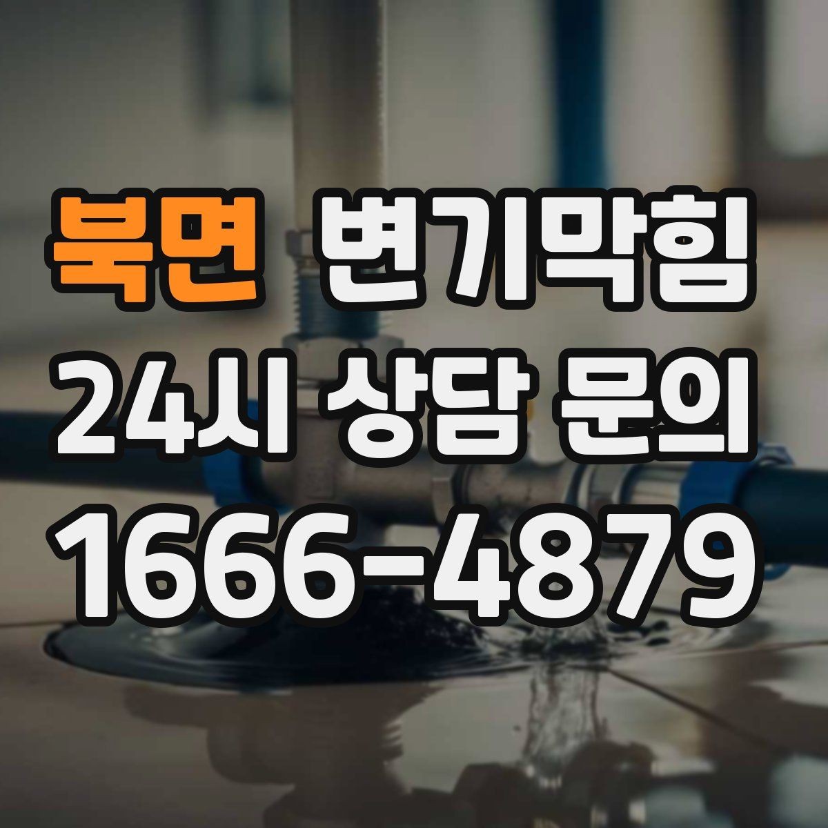 북면 변기막힘 미용실 배수구막힘 무향 소독 마감