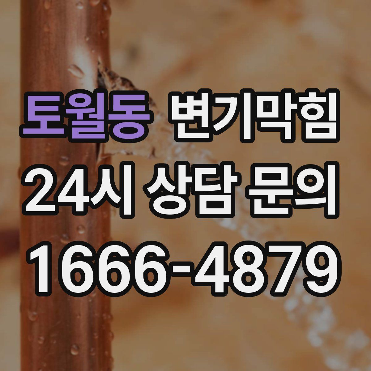 토월동 변기막힘