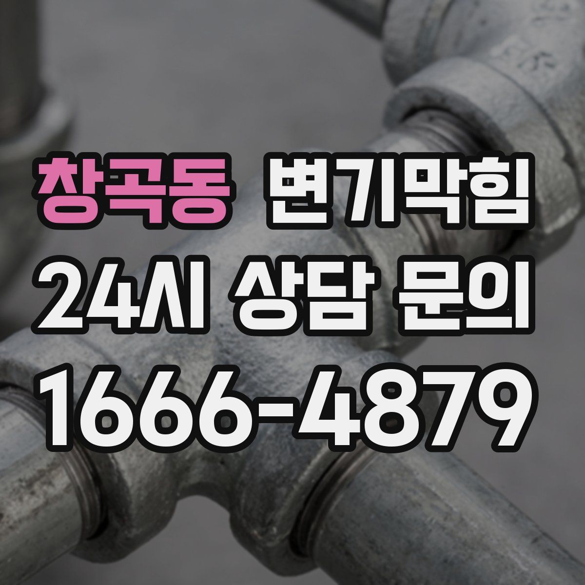 창곡동 변기막힘