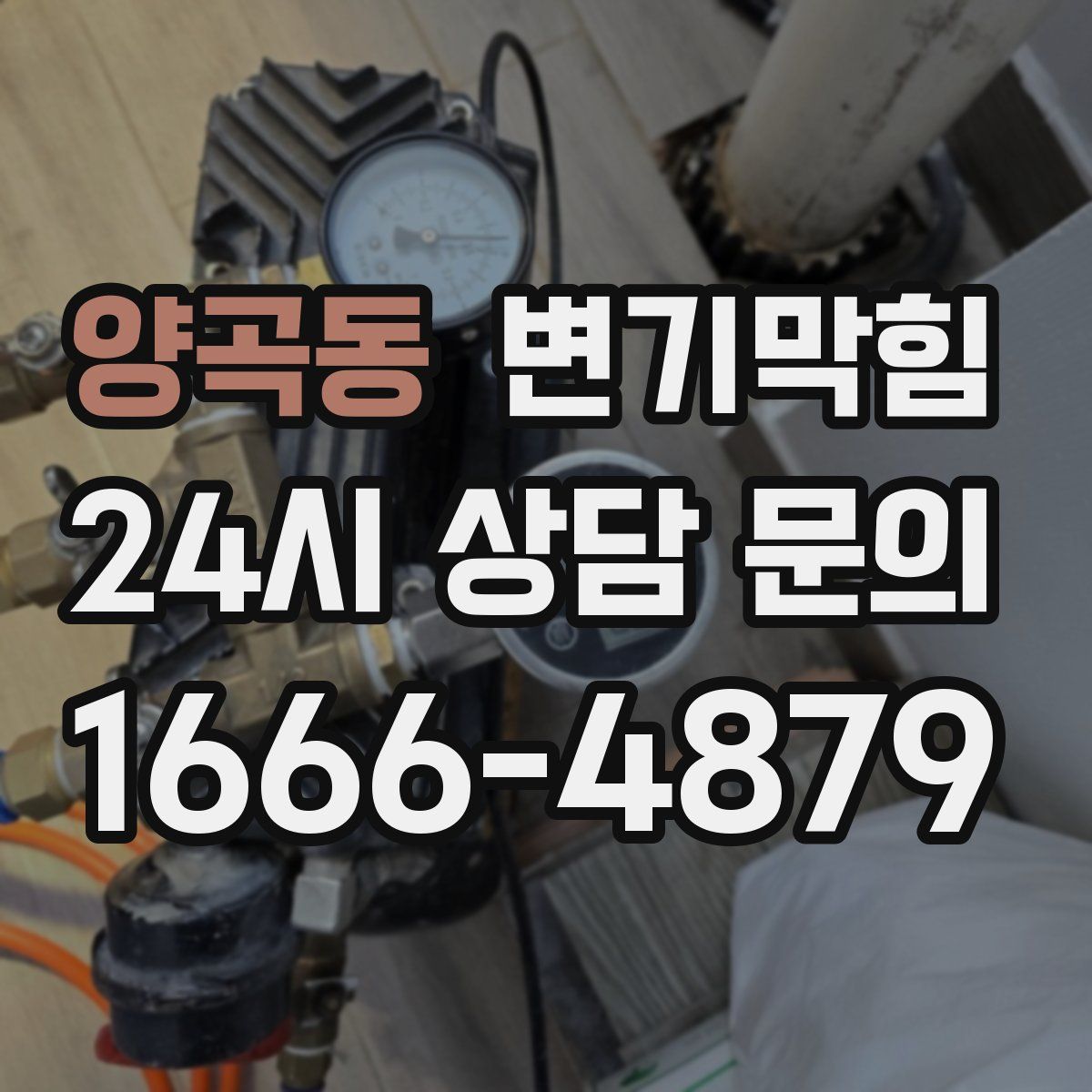 양곡동 변기막힘