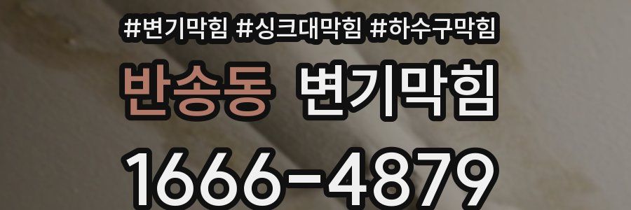 변기막힘