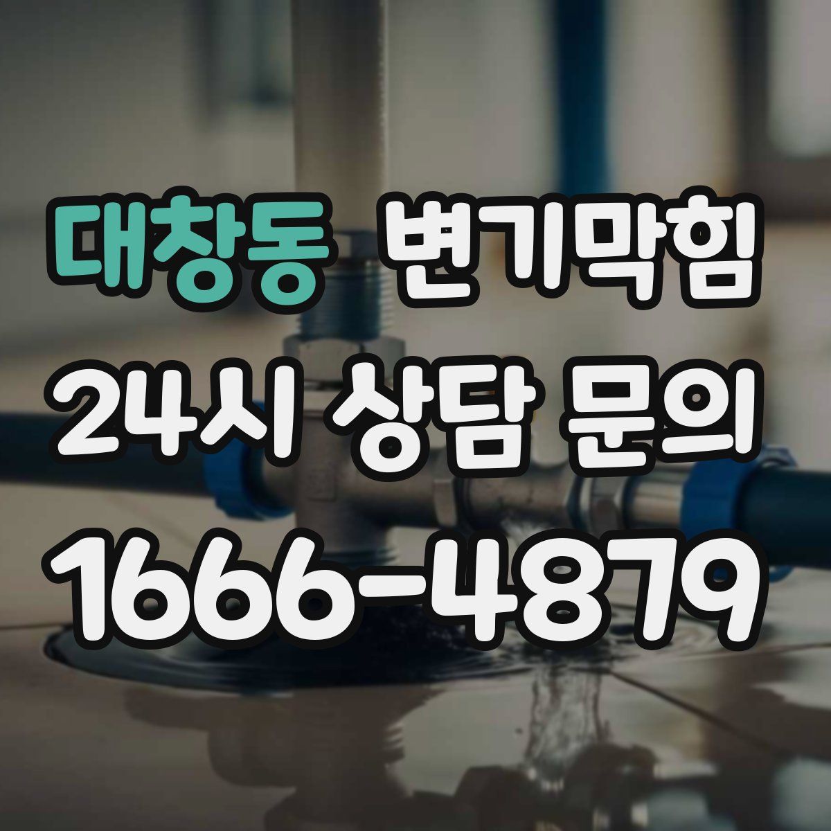 대창동 변기막힘