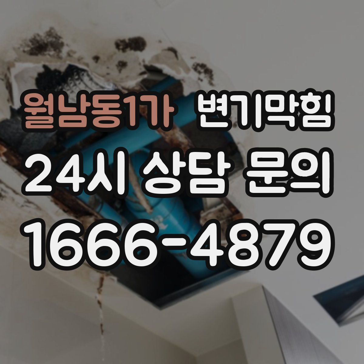 월남동1가 변기막힘