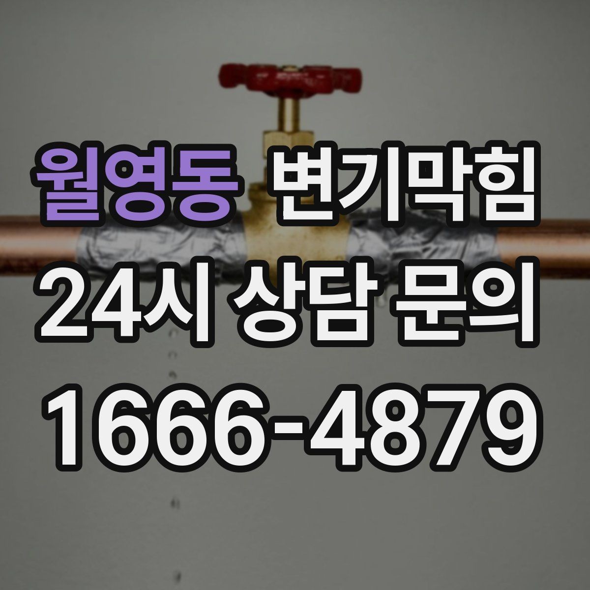 월영동 변기막힘 원룸 화장실역류 내시경으로 병목 확인