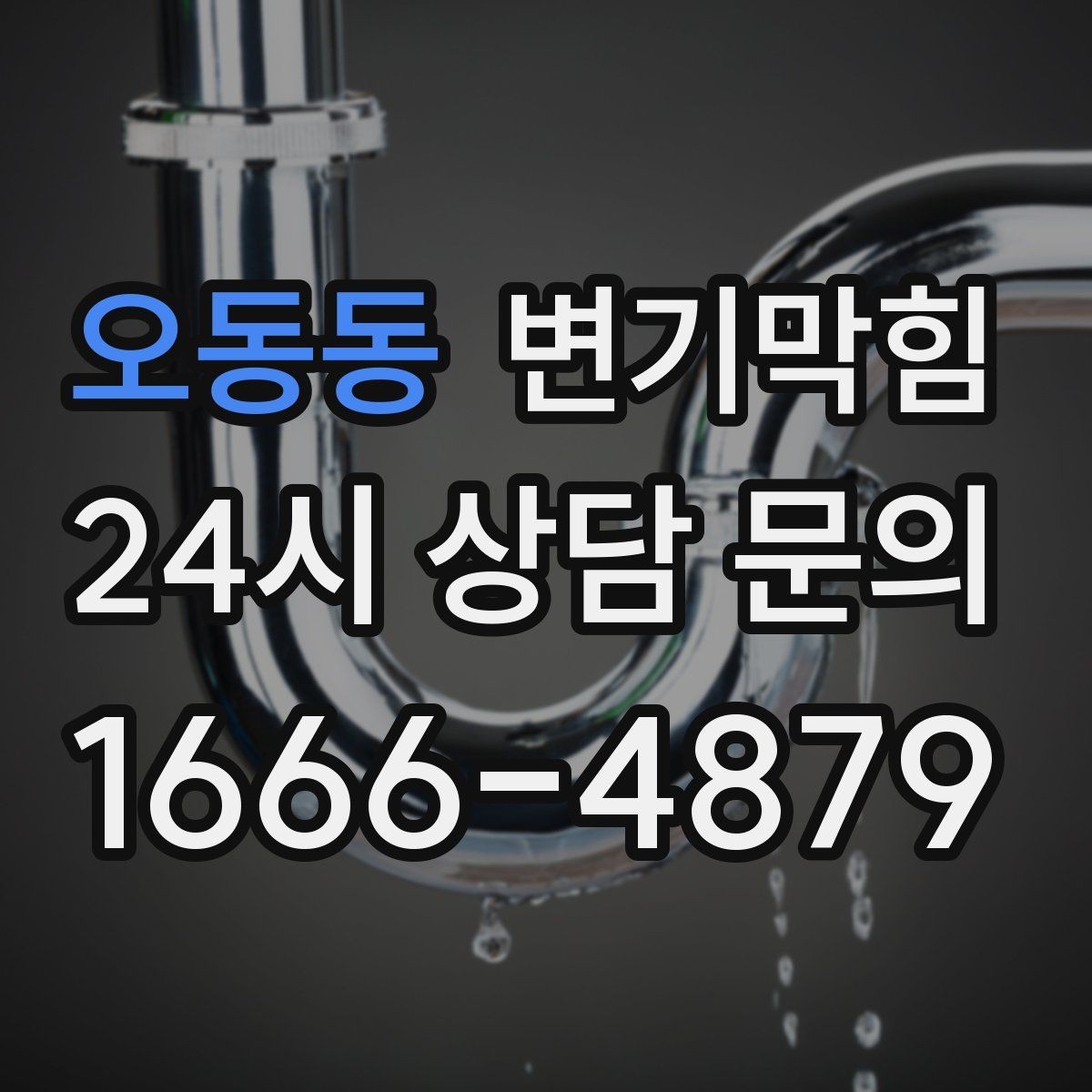 오동동 변기막힘 카페 배수구막힘 향이 돌아온 매장
