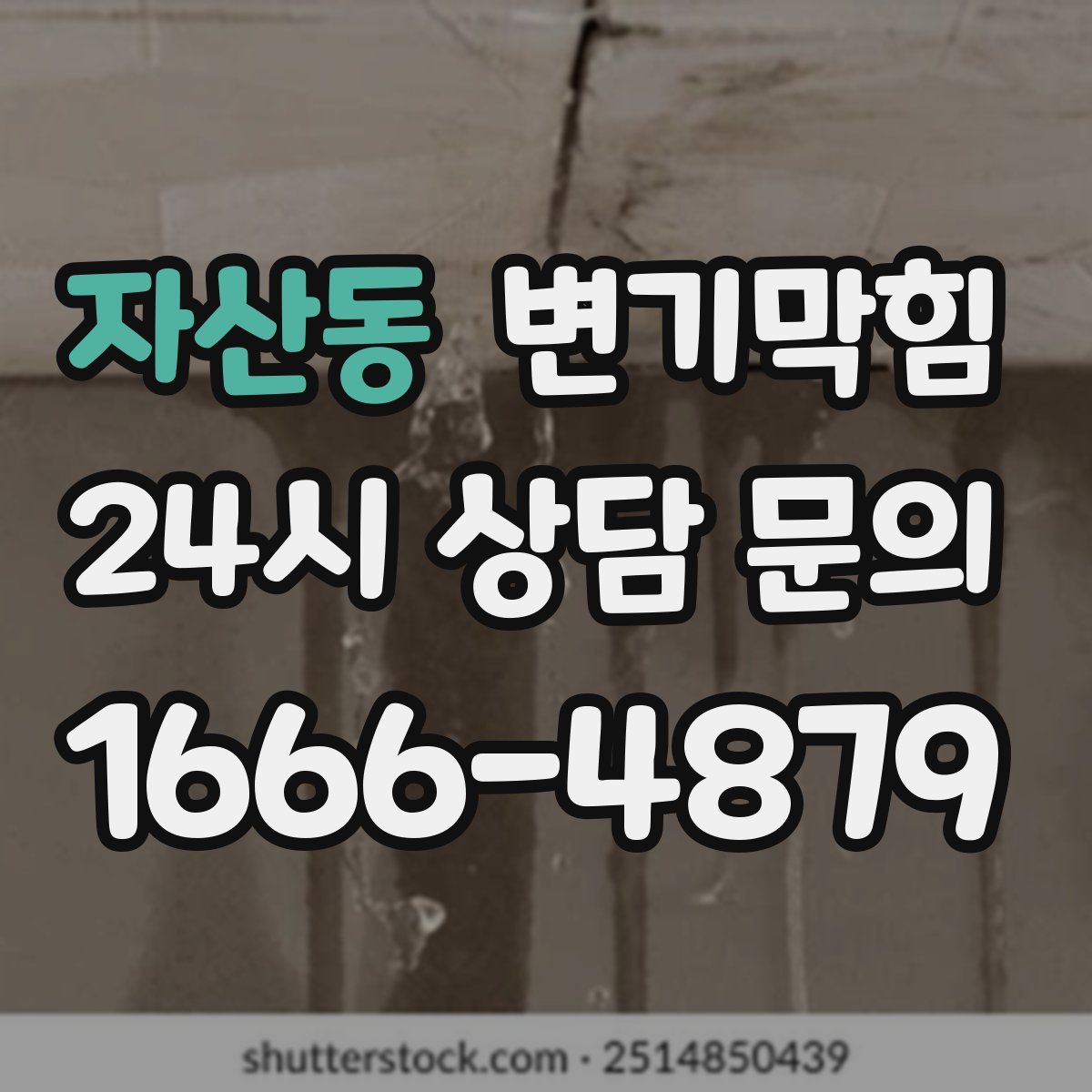 자산동 변기막힘