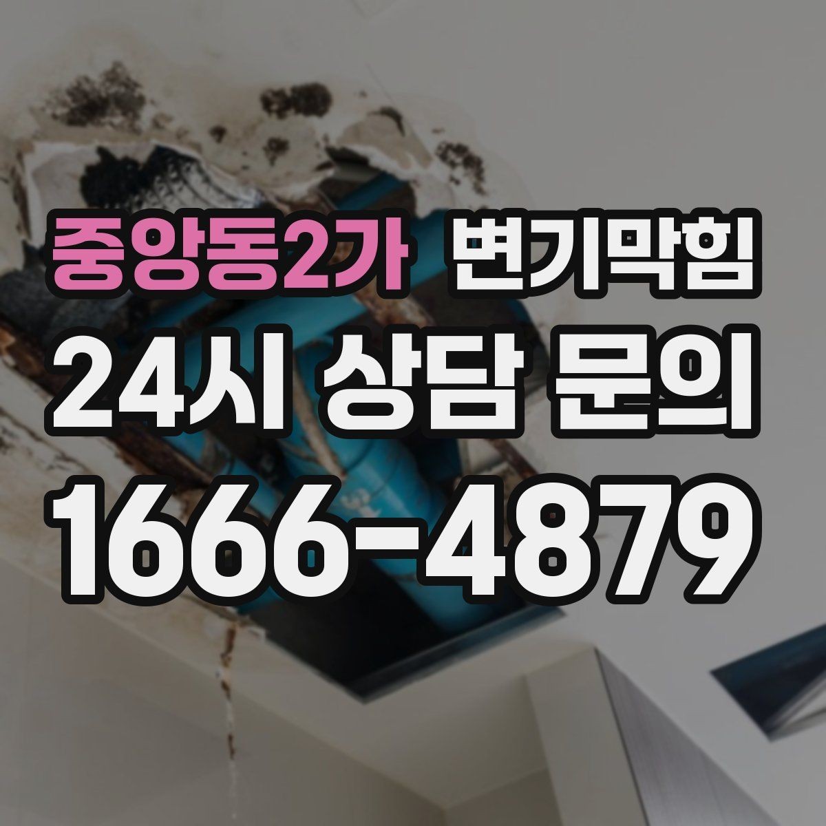 중앙동2가 변기막힘 다가구 통기관 역풍 시나리오