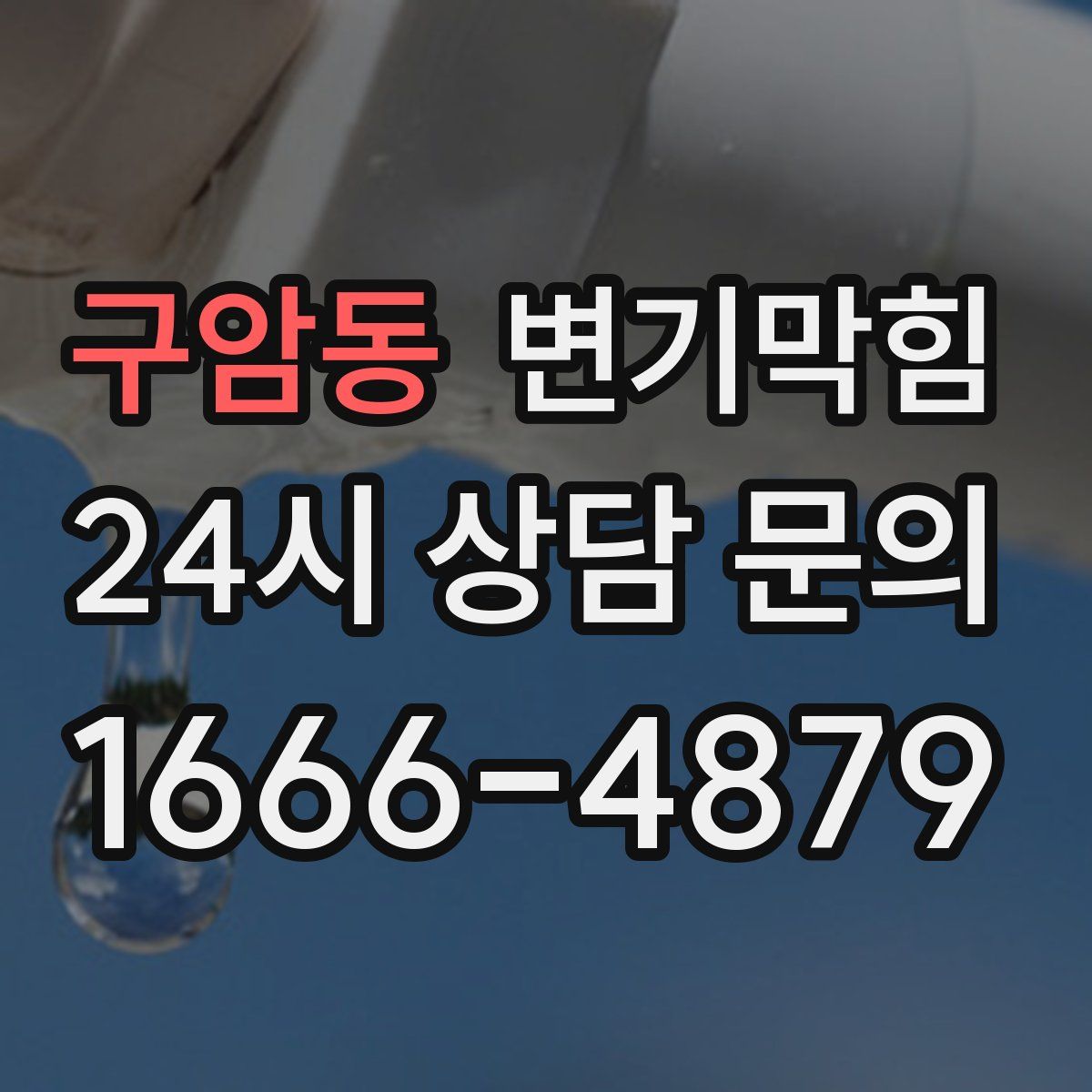 구암동 변기막힘