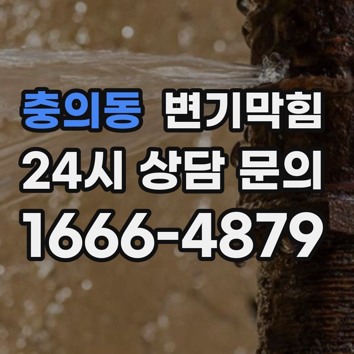 충의동 변기막힘