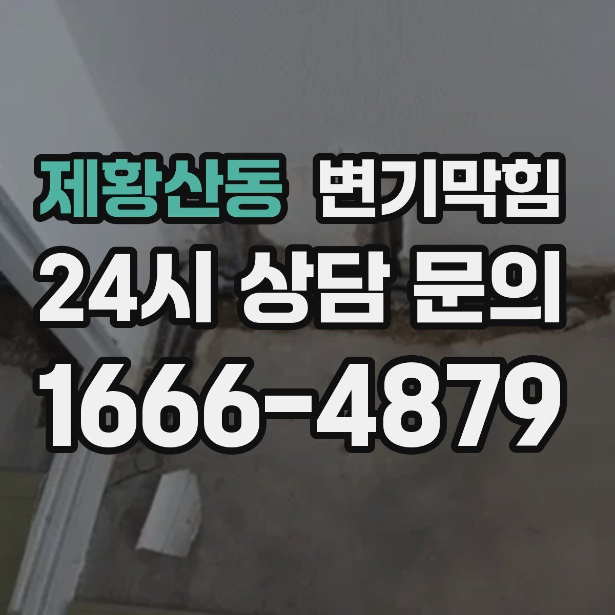 제황산동 변기막힘