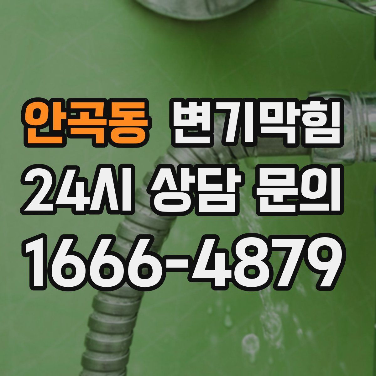 안곡동 변기막힘