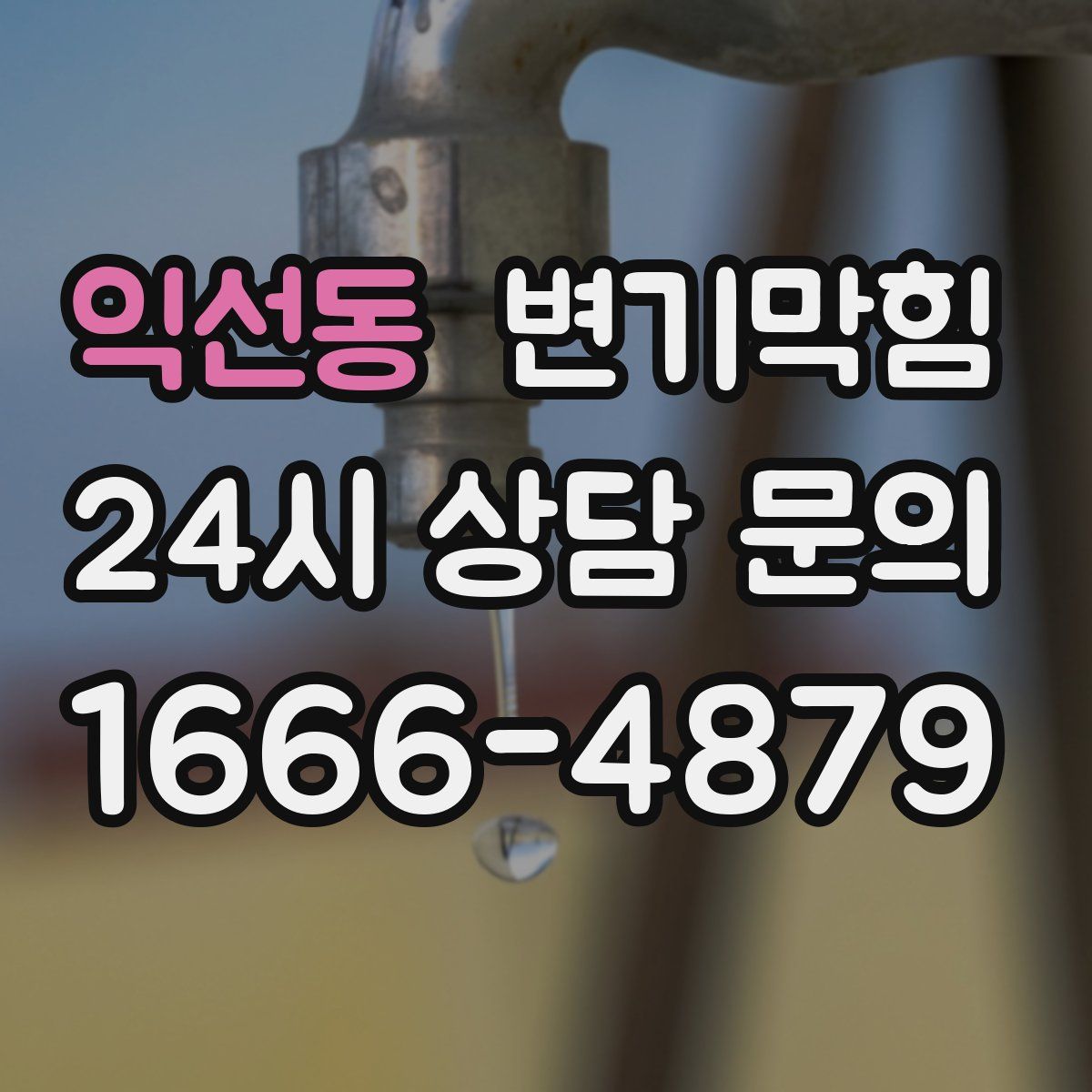 익선동 변기막힘