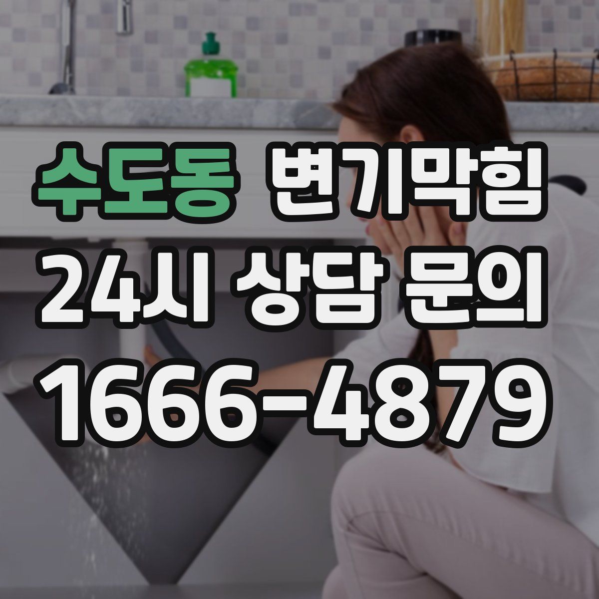 수도동 변기막힘