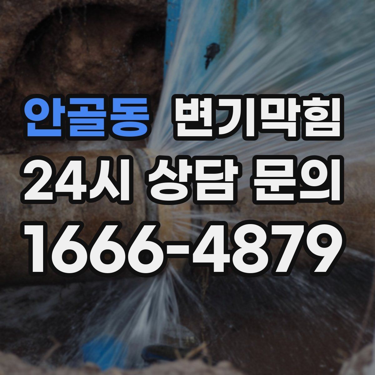 안골동 변기막힘 변기 뚫는 법 장갑·수건 준비 체크