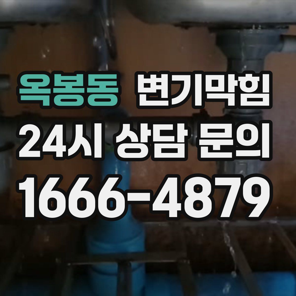 옥봉동 변기막힘