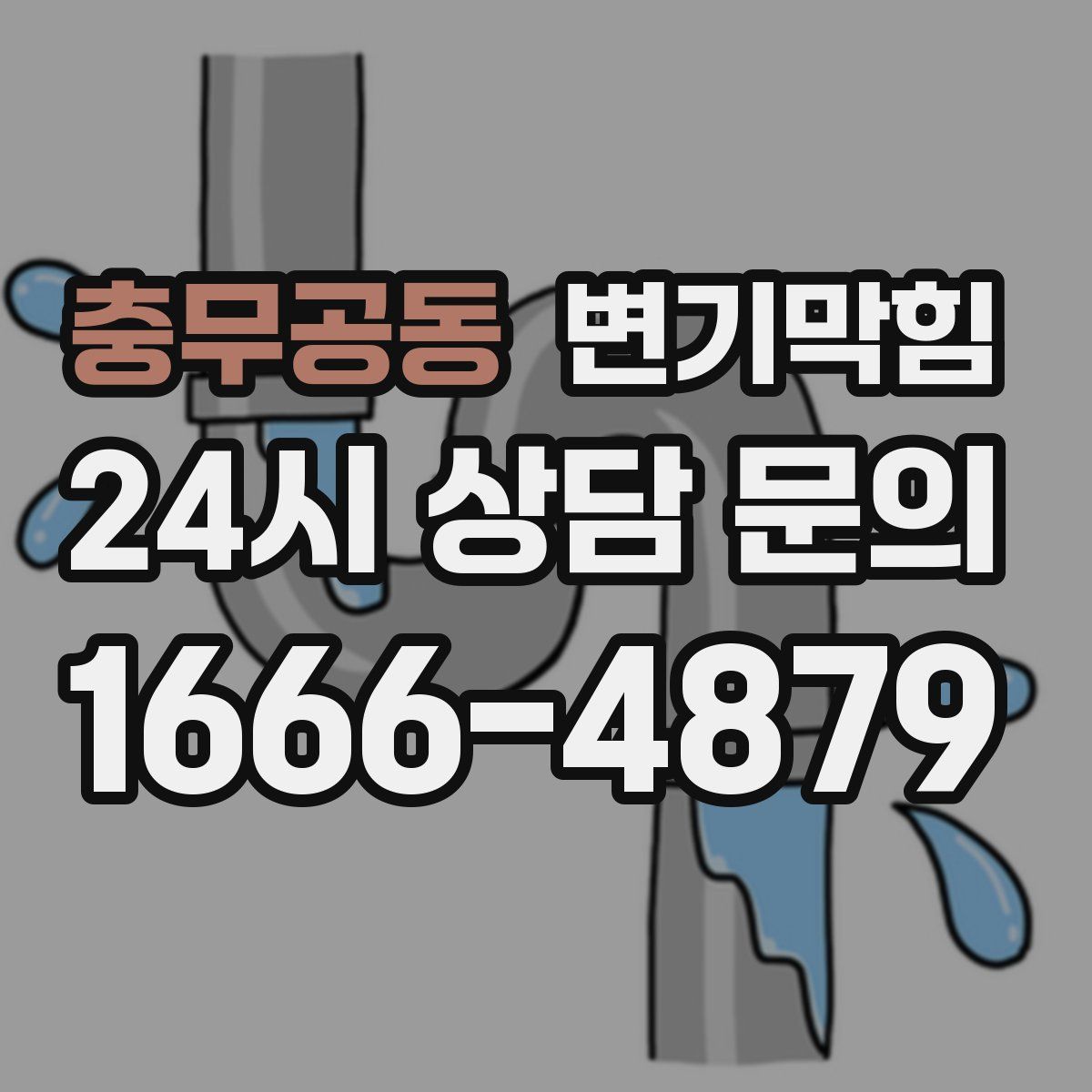 충무공동 변기막힘