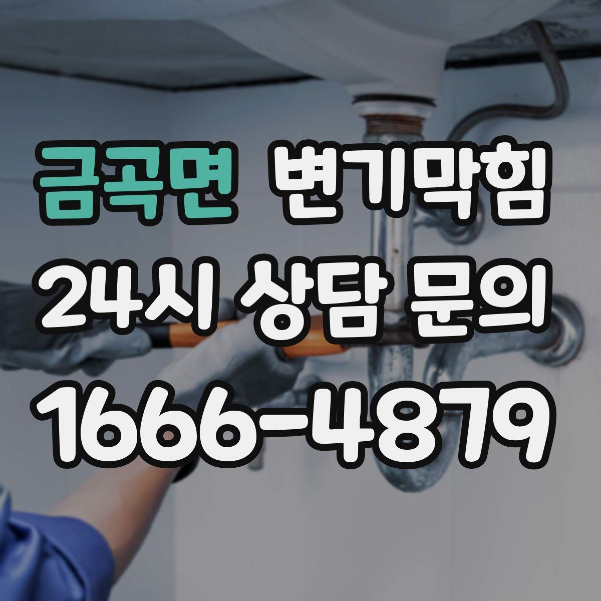 금곡면 변기막힘