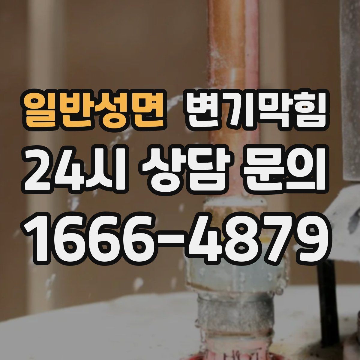 일반성면 변기막힘 통기관 막힘·역풍 동시 해결