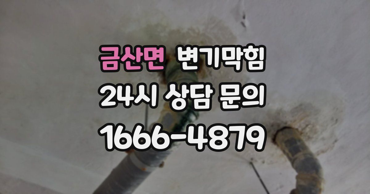 금산면 변기