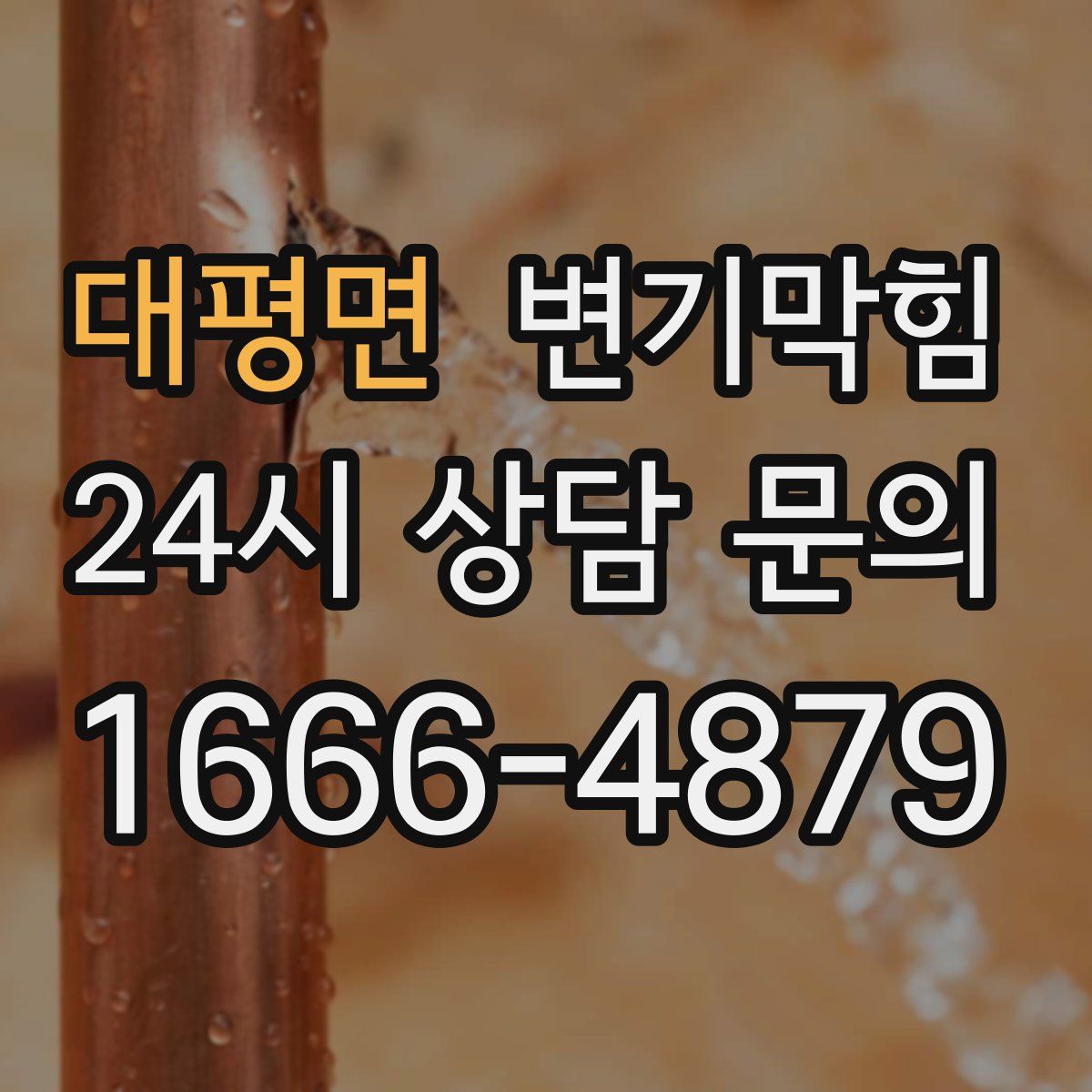 대평면 변기막힘