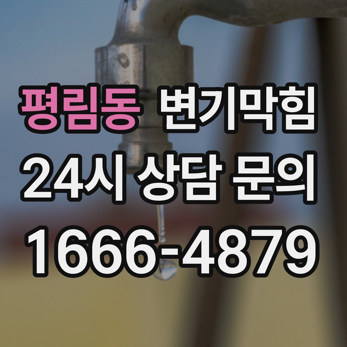 평림동 변기막힘