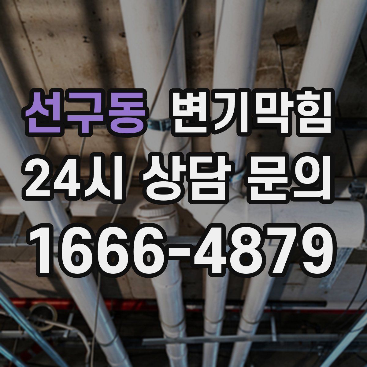 선구동 변기막힘