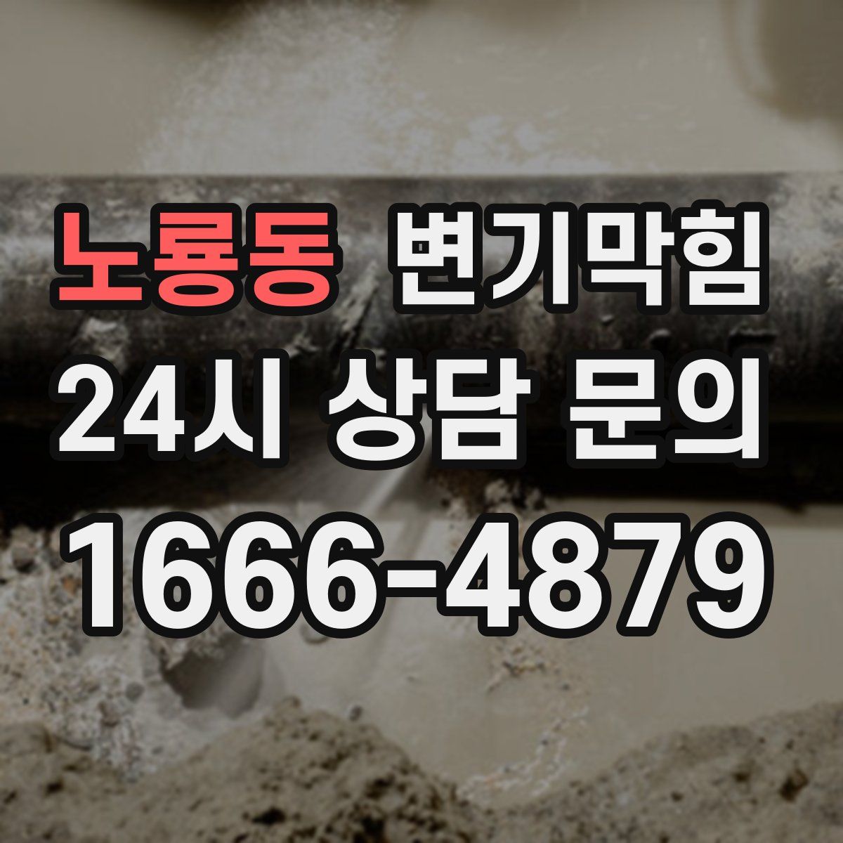 노룡동 변기막힘