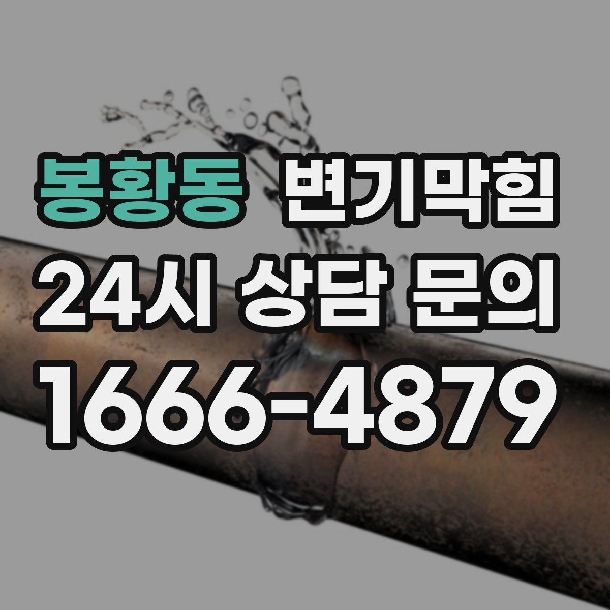 봉황동 변기막힘