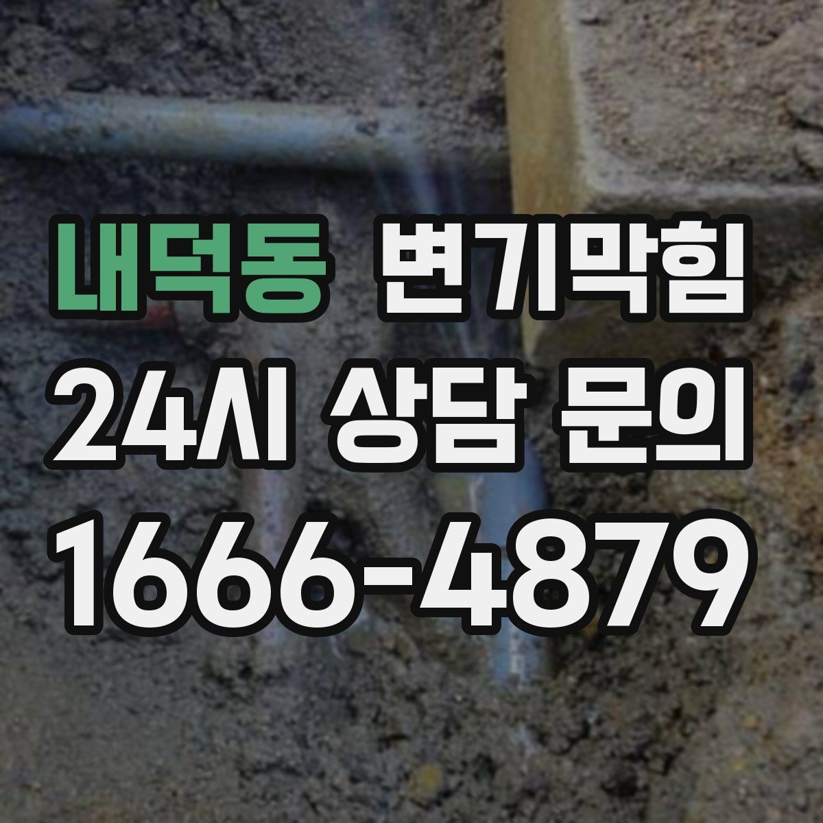 내덕동 변기막힘