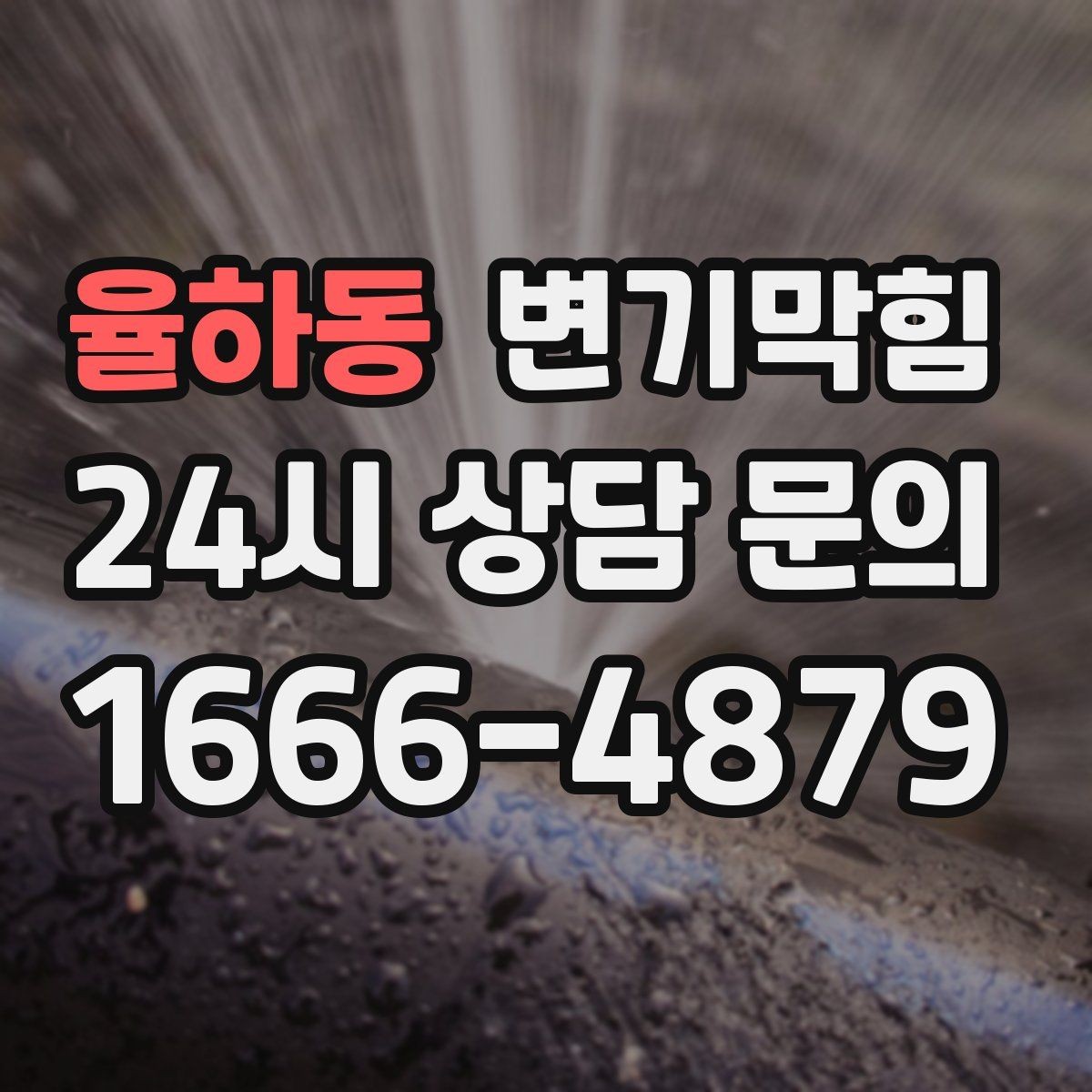 율하동 변기막힘 화장실변기막힘 악취·거품 동시 대응