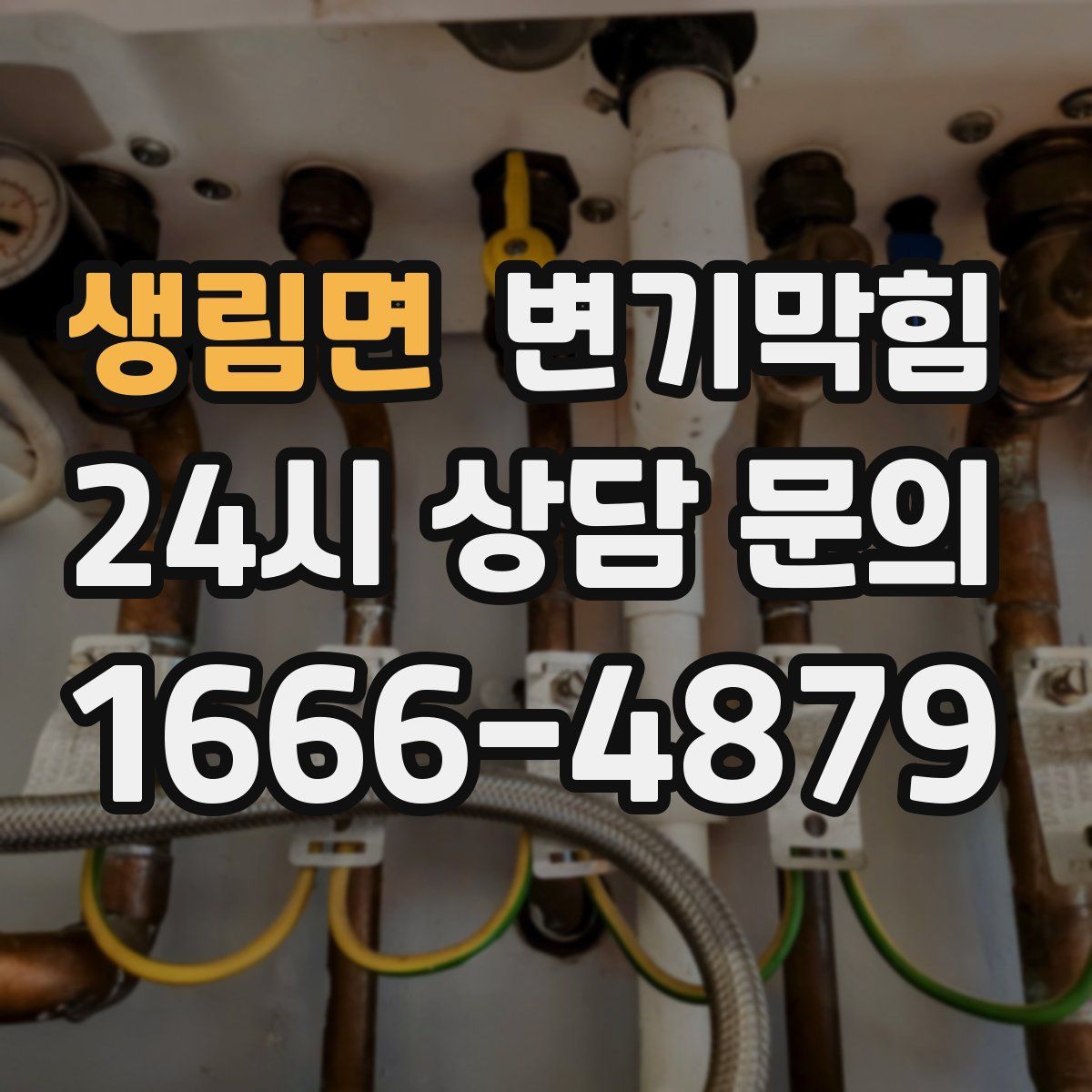 생림면 변기막힘