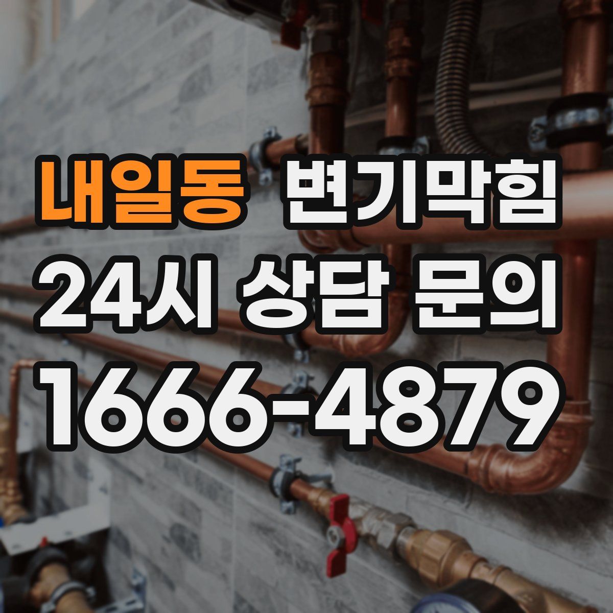 내일동 변기막힘