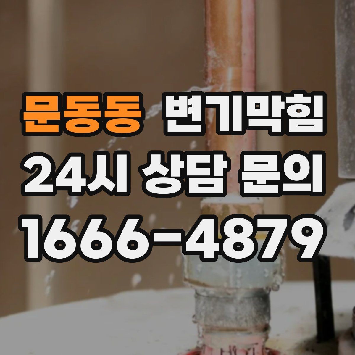 문동동 변기막힘 단독 주택 배수구막힘 장판 얼룩 해결