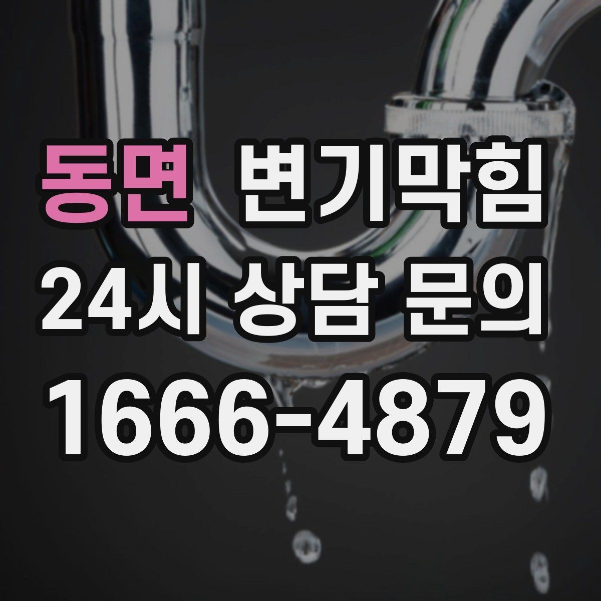 동면 변기막힘 식당 화장실역류 소음·냄새 동시 차단