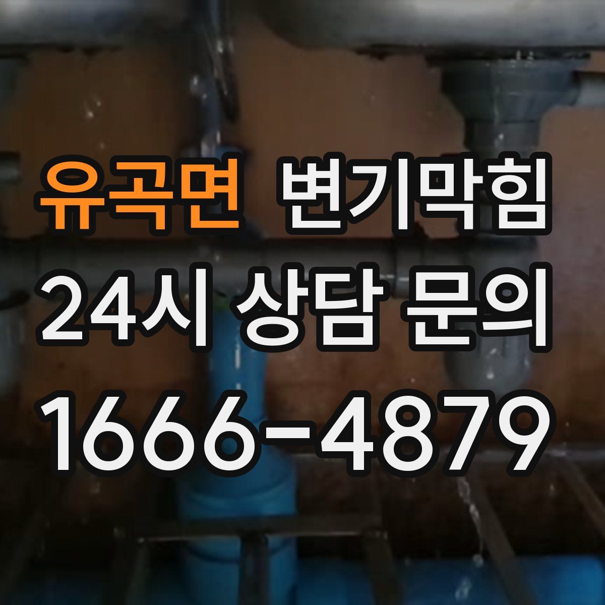 유곡면 변기막힘