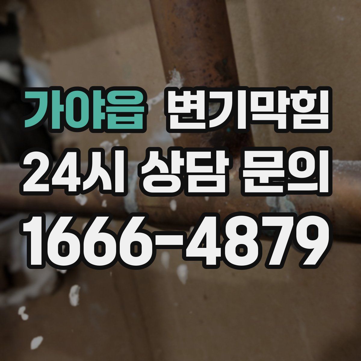 가야읍 변기막힘