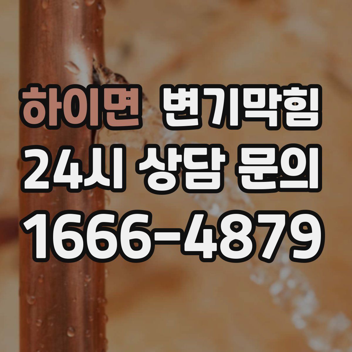 하이면 변기막힘