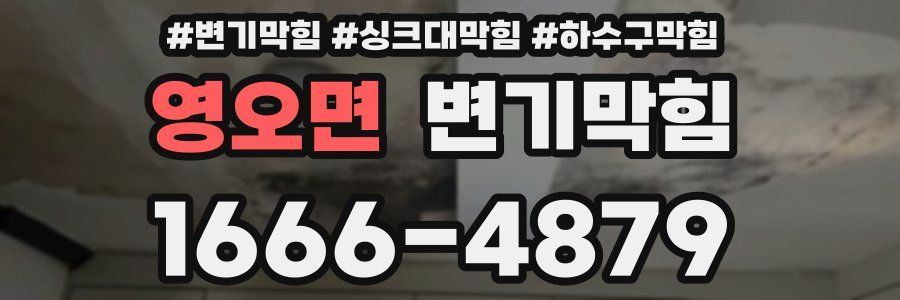 변기막힘