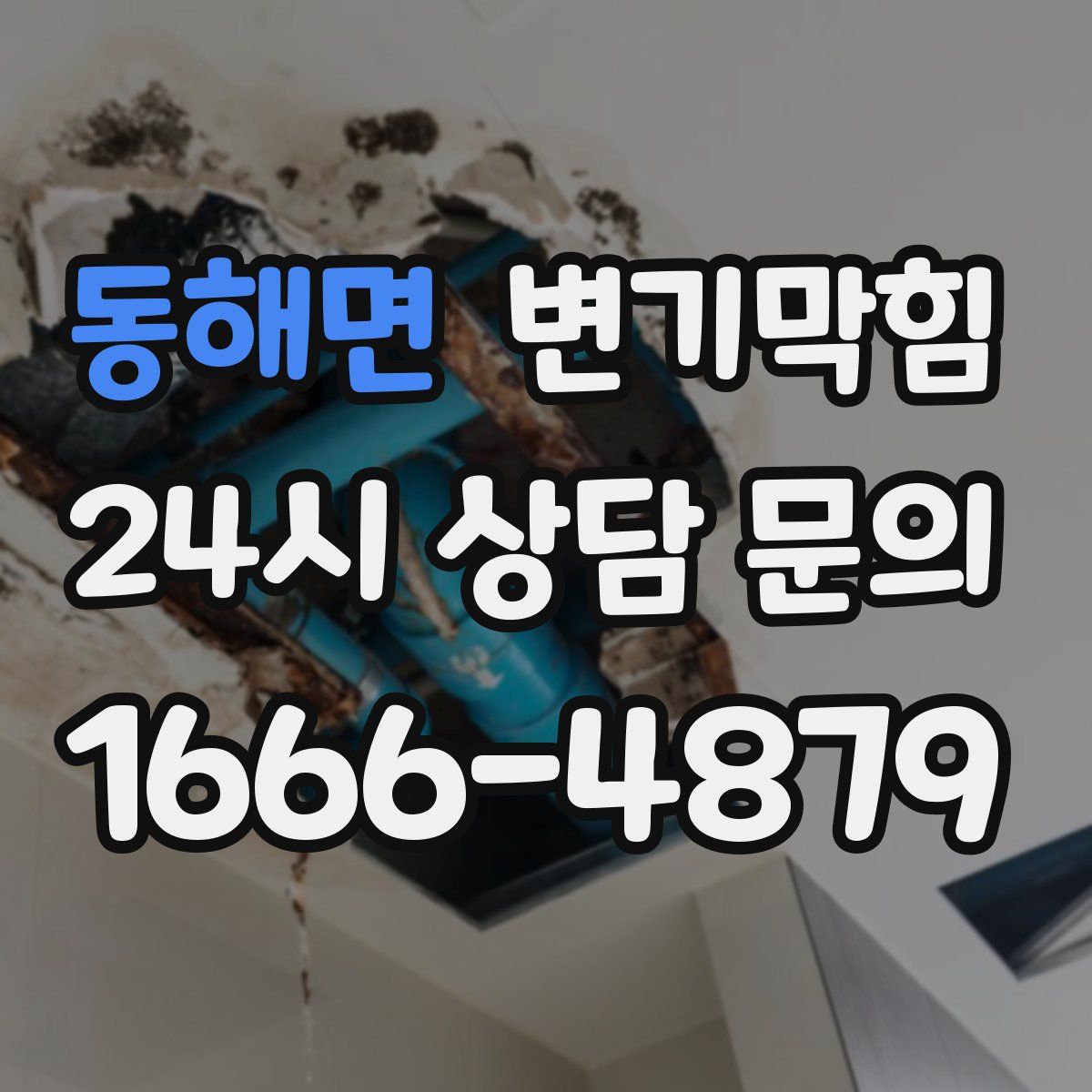 동해면 변기막힘