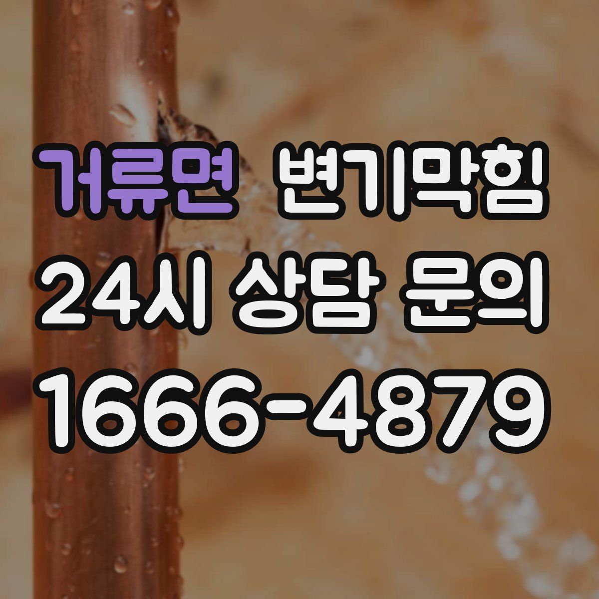 거류면 변기막힘