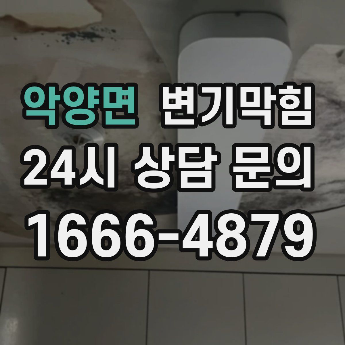 악양면 변기막힘