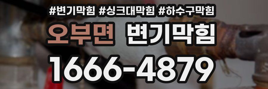 변기막힘