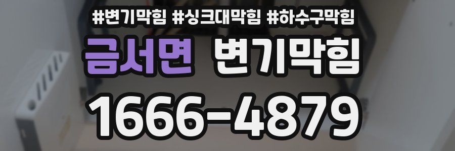 변기막힘