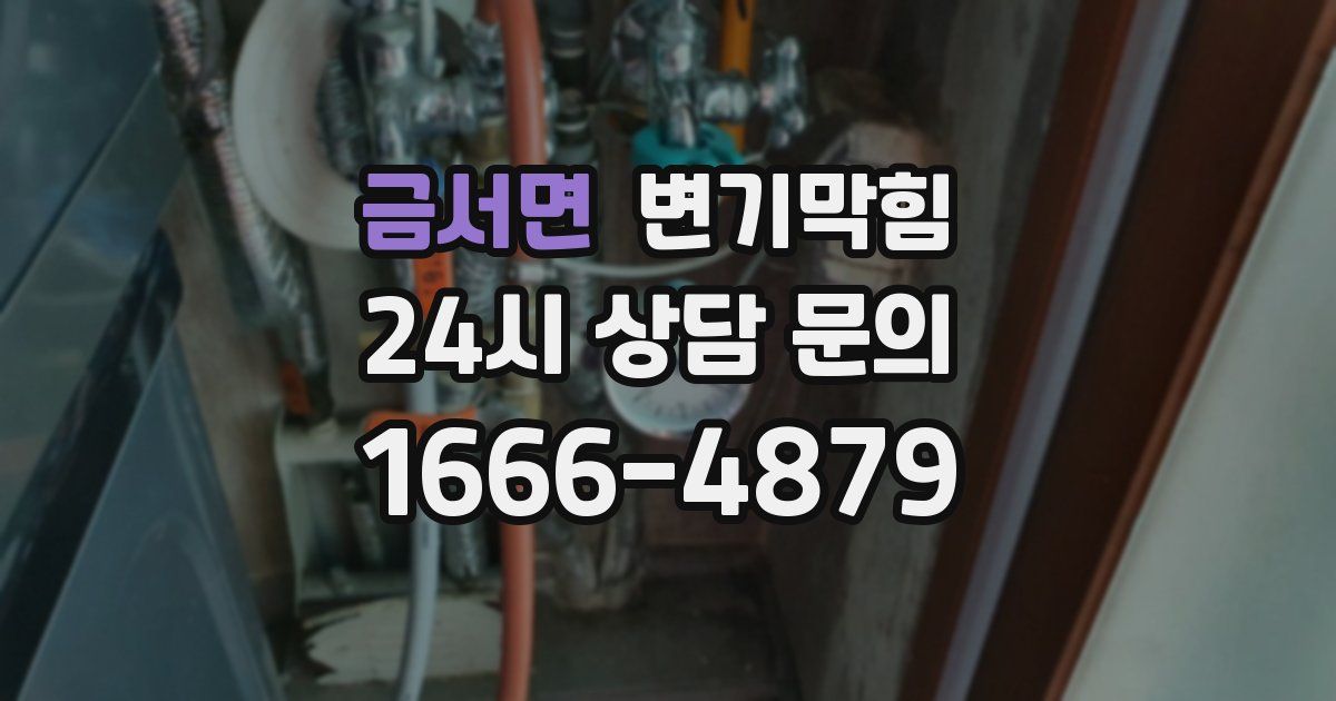 금서면 변기