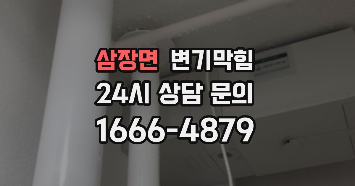 삼장면 변기